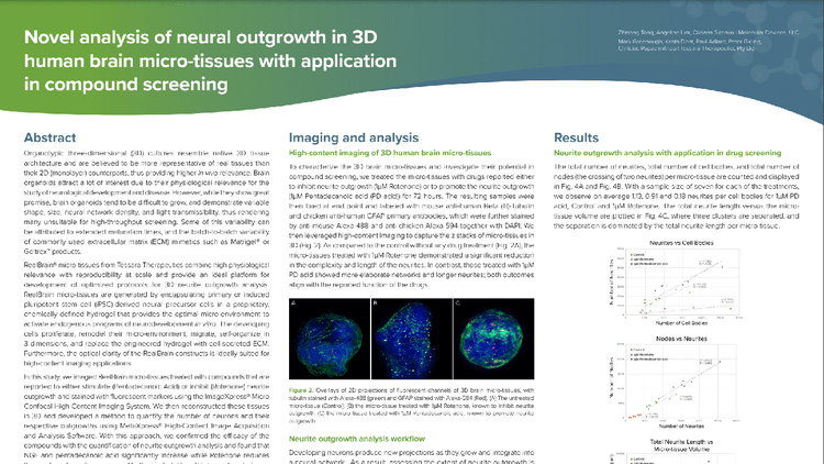 Novel analysis of neural outgrowth in 3D human brain micro-tissues