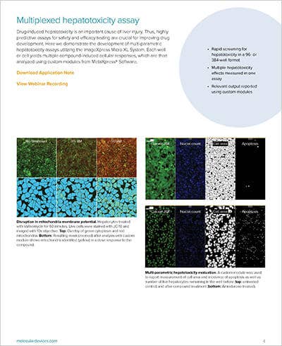 Multiplexed hepatotoxicity assay