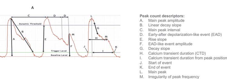 ScreenWorks Peak Pro 2 software module