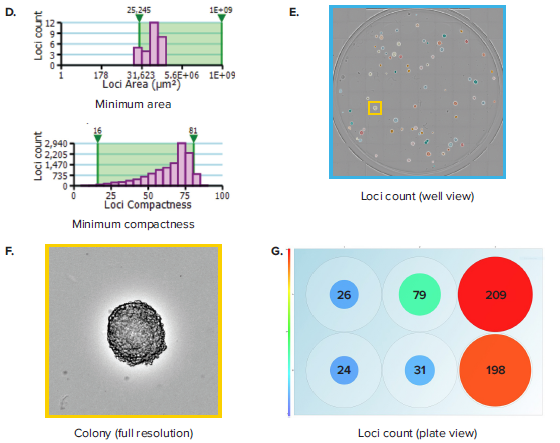 colony-counting-in-6-well-plates-figure-1b