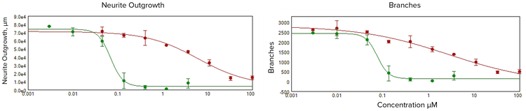 disruption-of-neurite-networks