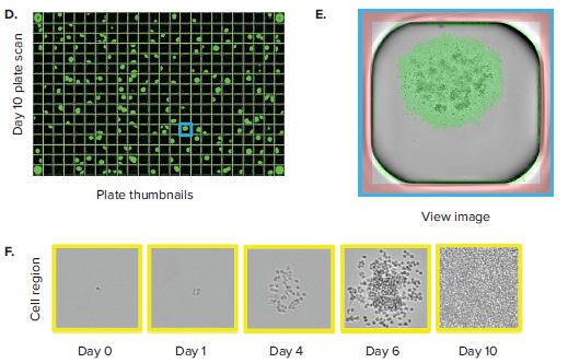 monoclonality-in-96-well-and-384-well-plates-figure-2b