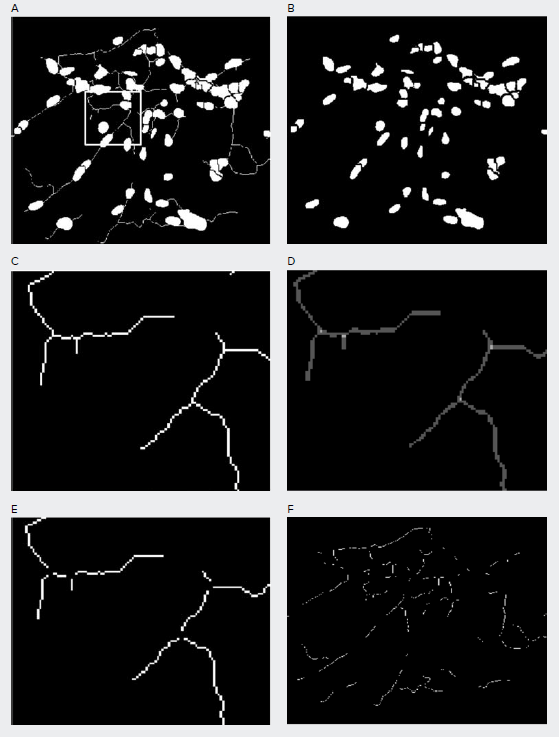 Masks generated cell bodies and individual neurite outgrowth