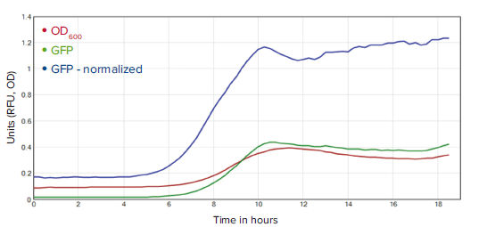 GFP Signal normalized to cell density