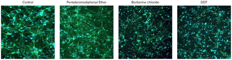 neurotoxic-compounds-tested-at-10-μm