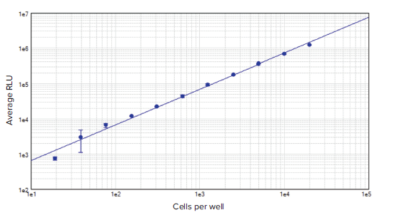 MCF7 cell dilution series in 96-well format