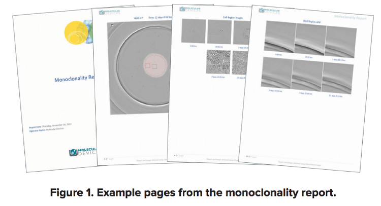 Verification of monoclonality