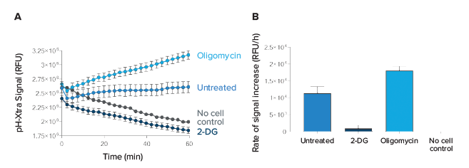 cell-based-ph-xtra-glycolysis-assay