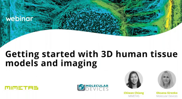 3D Human Tissue Models and Imaging