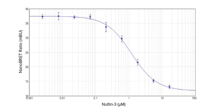 Disruption of p53-MDM2